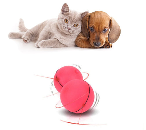 Balle Laser Interactive pour Chat – Jouet LED Rechargeable 360° avec Plumes et Clochette