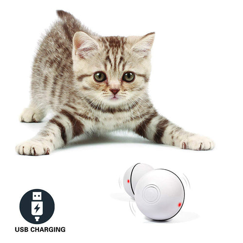 Balle Laser Interactive pour Chat – Jouet LED Rechargeable 360° avec Plumes et Clochette